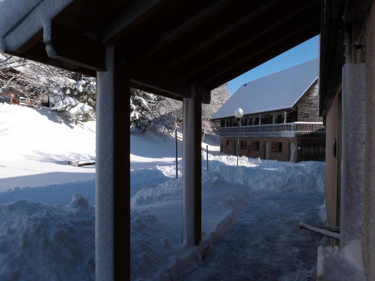 Residence Le Bois De La Reine Super Besse Εξωτερικό φωτογραφία