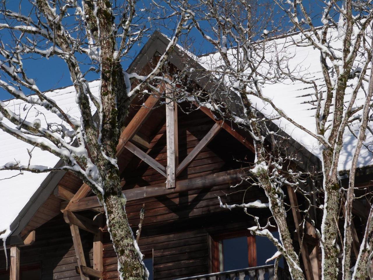 Residence Le Bois De La Reine Super Besse Εξωτερικό φωτογραφία