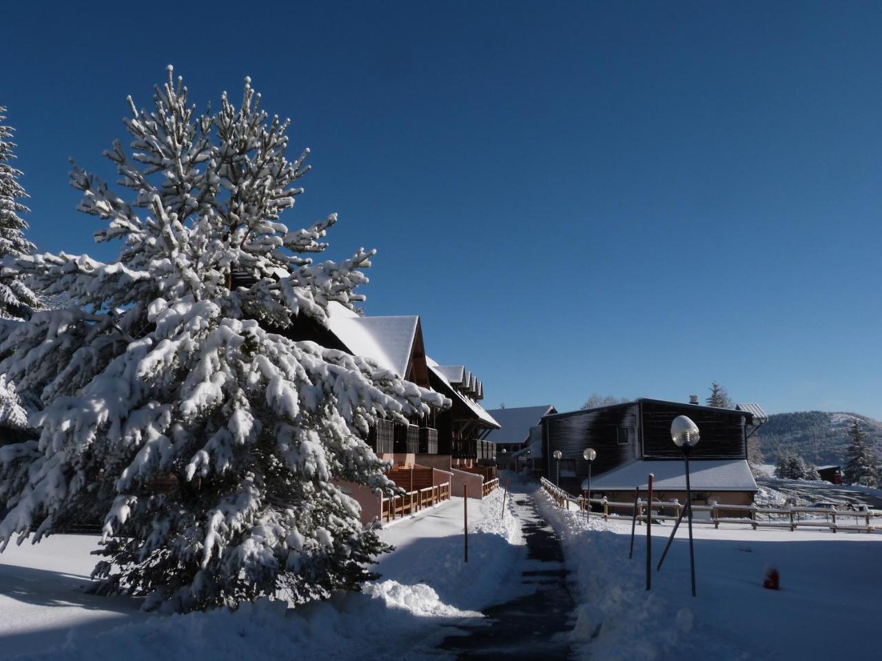 Residence Le Bois De La Reine Super Besse Εξωτερικό φωτογραφία