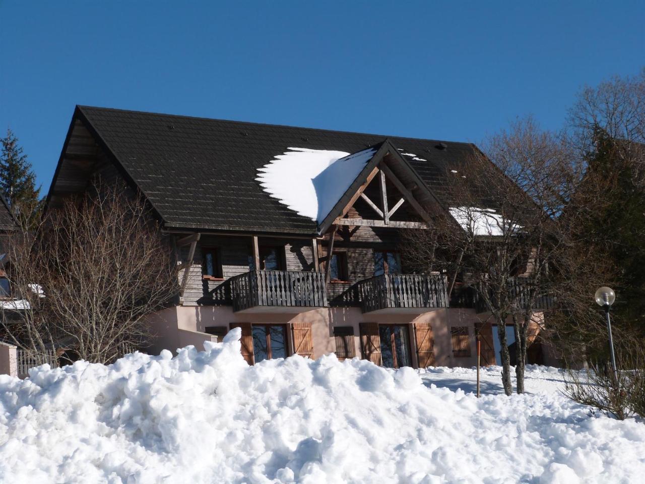 Residence Le Bois De La Reine Super Besse Εξωτερικό φωτογραφία