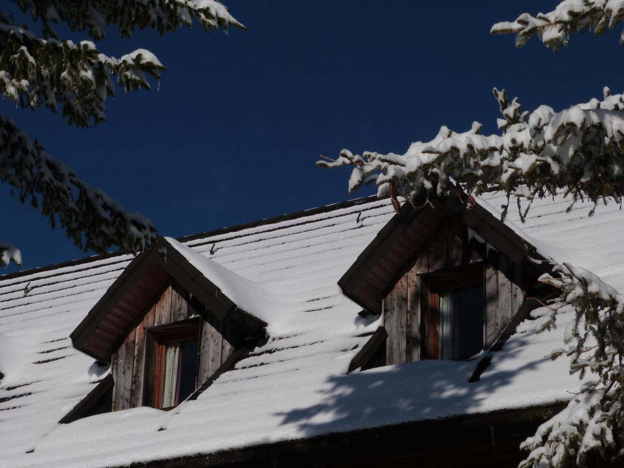 Residence Le Bois De La Reine Super Besse Εξωτερικό φωτογραφία